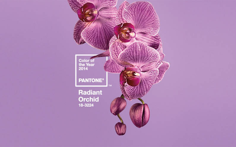 Color of the Year – Radiant Orchid