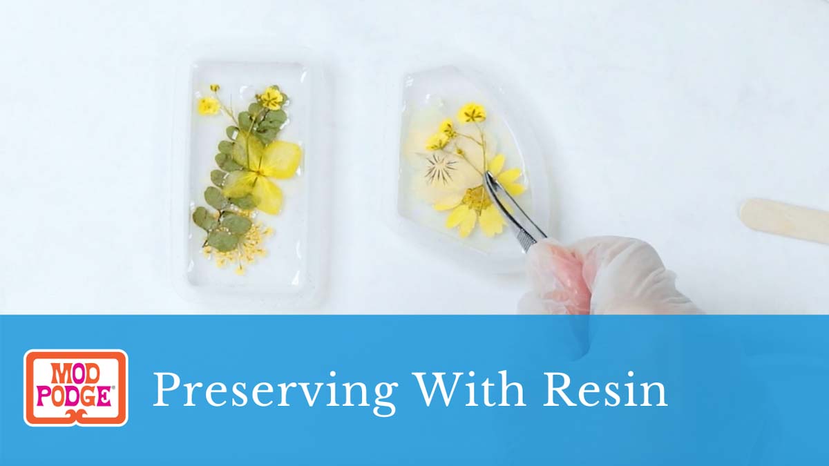 Preserving with Mod Podge Resin