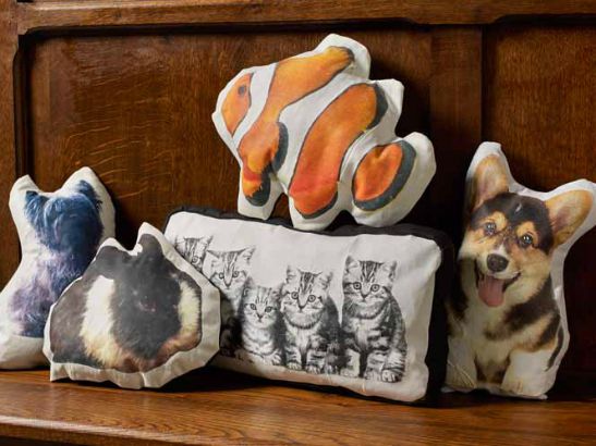How to Photo Transfer: DIY Pet Pillows