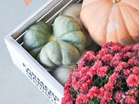 Bring Autumn Home With 9 Stenciled Fall Decorating Ideas
